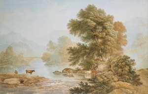 Bovini che si Abbeverano a un Fiume